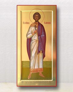 Икона «Емилиан мученик» Александров